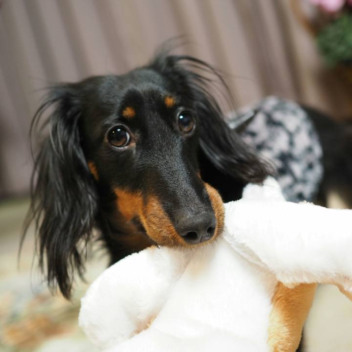 9d1af611 efc7 4d08 95a6 3482aa25afd7