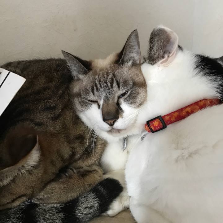 9d1af9a1 248b 4fcf b530 f435f60ecb39