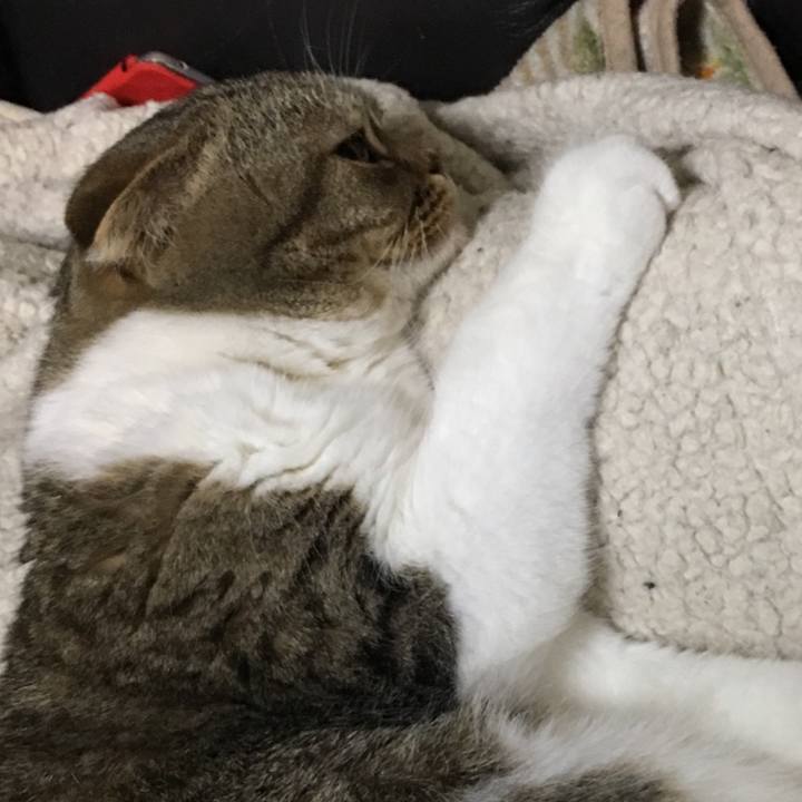 9d1b6ed5 f634 42ee bf5a 0a4f912d8f02