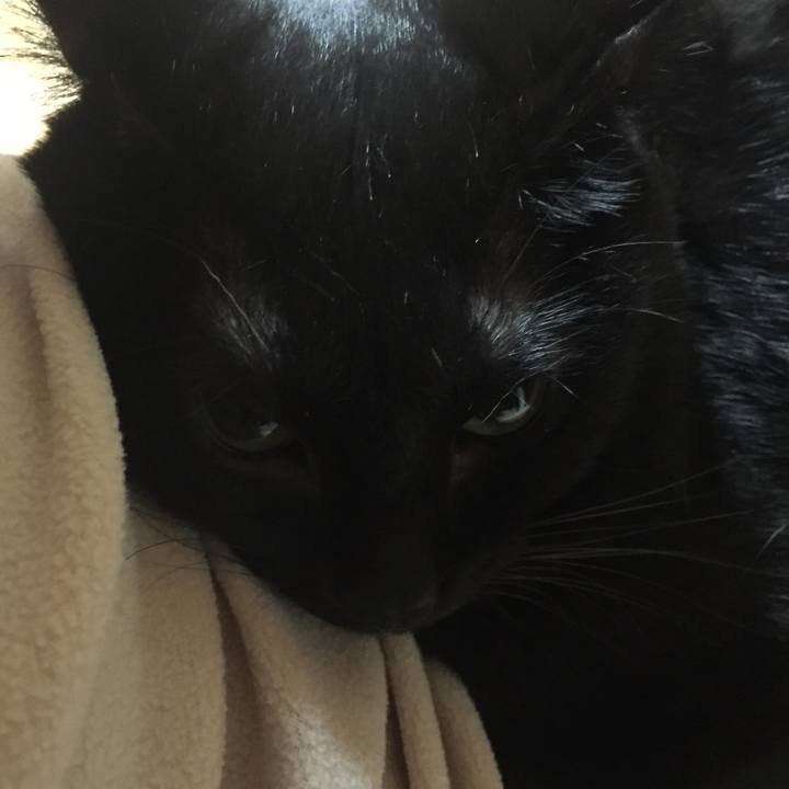 9d1c1a41 cac7 422d be4a b0637ed4755d