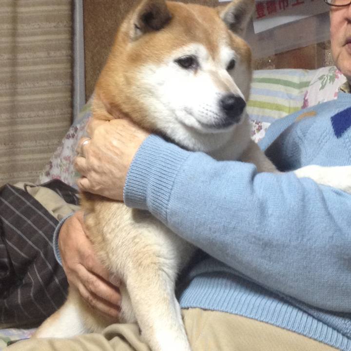 9d1c32b9 6fd6 4dda a290 d75866dd8826