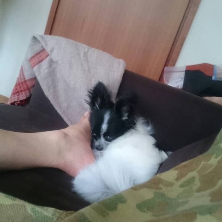 9d1c55f1 02f3 456e 9af1 c9b3c667fdd7