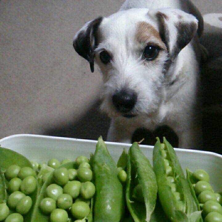 9d1d7a73 f91a 4889 a85a cde2b48aa9d9