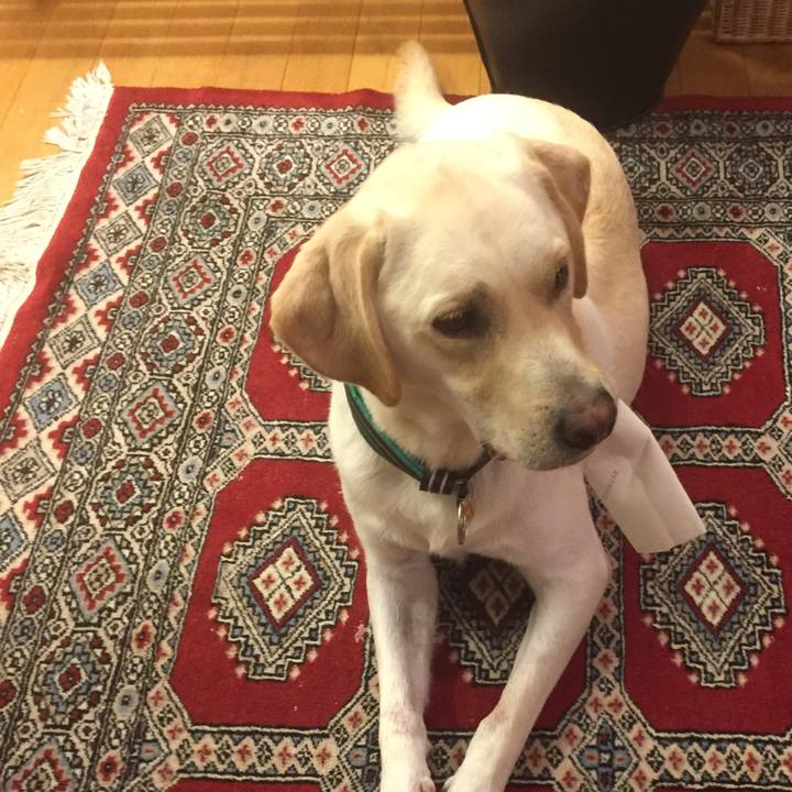 9d1f2c7b 7b03 4283 8627 428aeef991c1