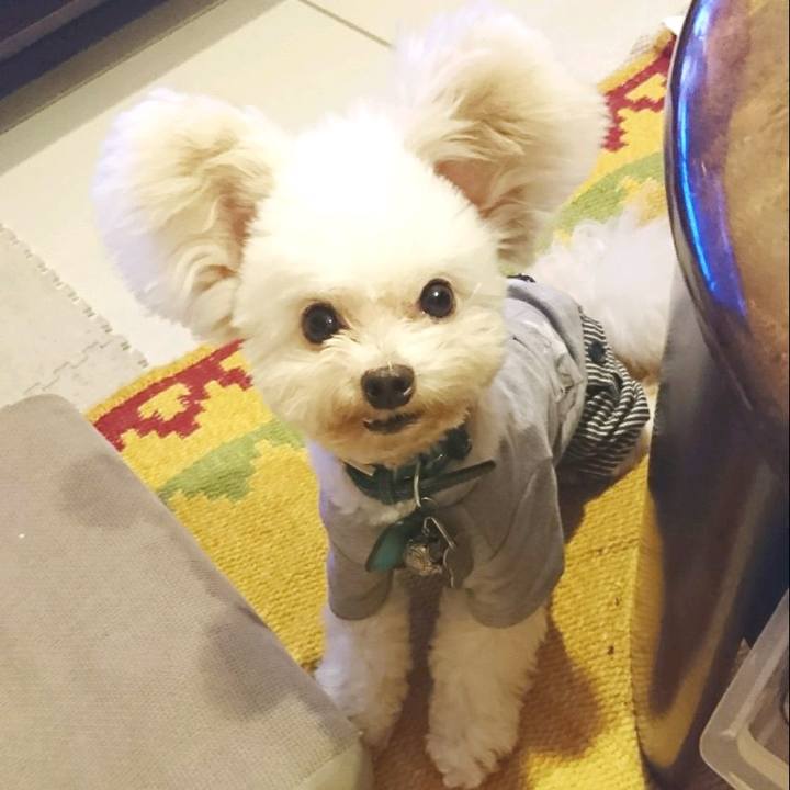 9d1fc26b 92bb 4b4b b05e 59fdf247eb7e