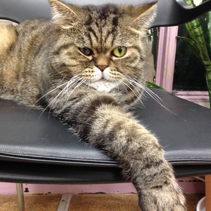 9d20cd8f 05ea 4e8b 82f6 906590d3a86d