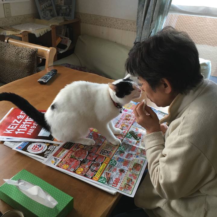 9d20fe5f d194 4520 8504 10e98b2fdfae