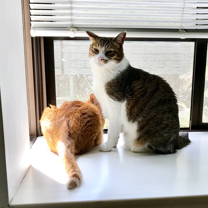 9d210eab 13bc 4a4d 93e7 b40f7a70a62c