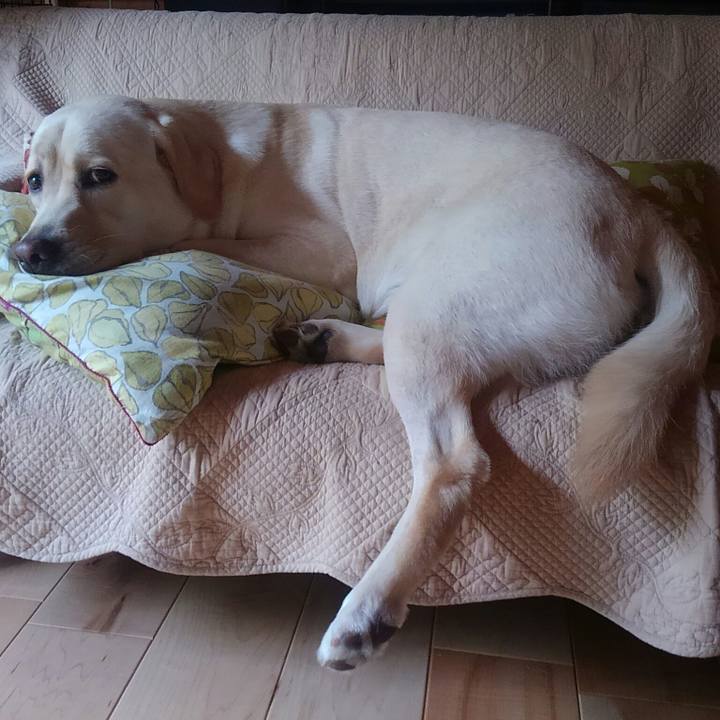 9d21124d 8cea 4f35 948a 3241a47a7b64