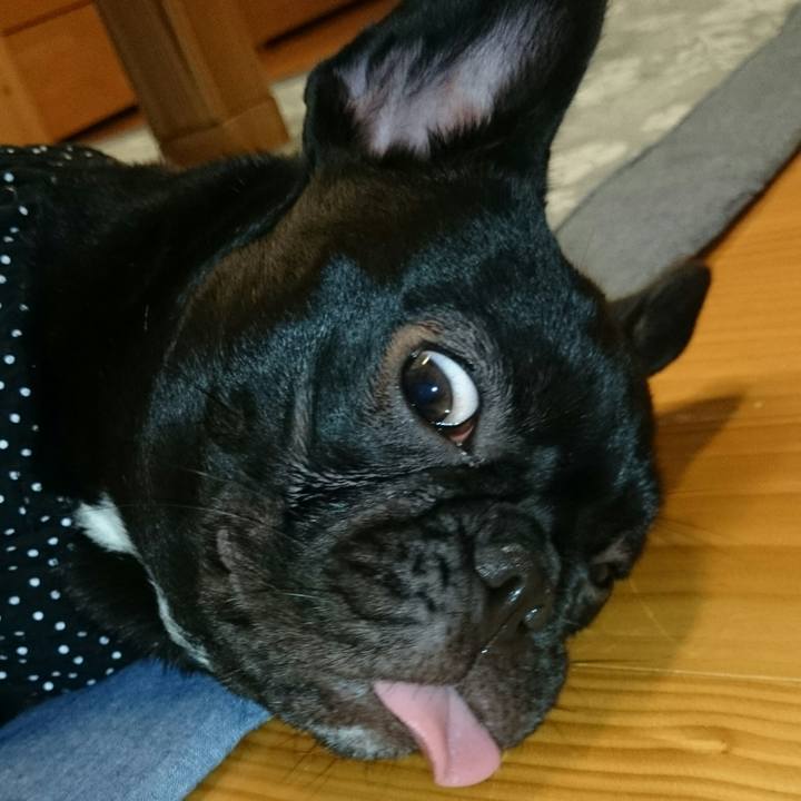 9d216df1 d296 4a09 9418 8cc575e565a1