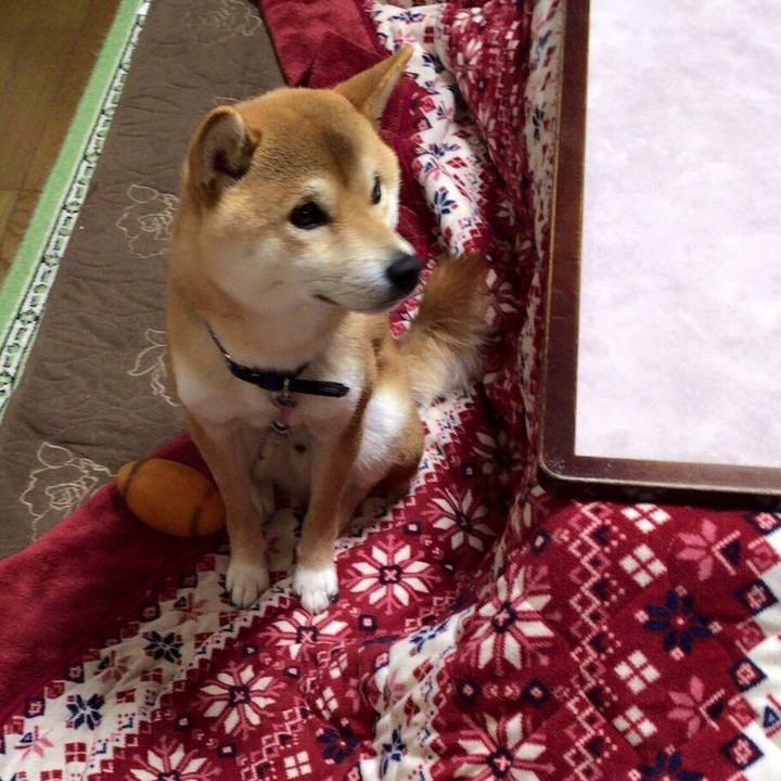 9d21ad43 5386 40c4 ac02 5a595c5faff5