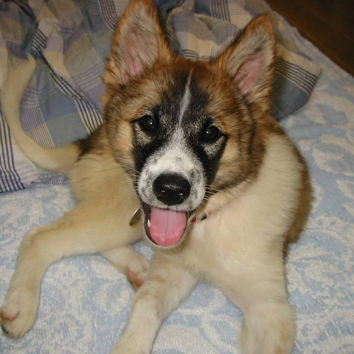 9d21d762 0657 40c5 824e 38bca1f1692a