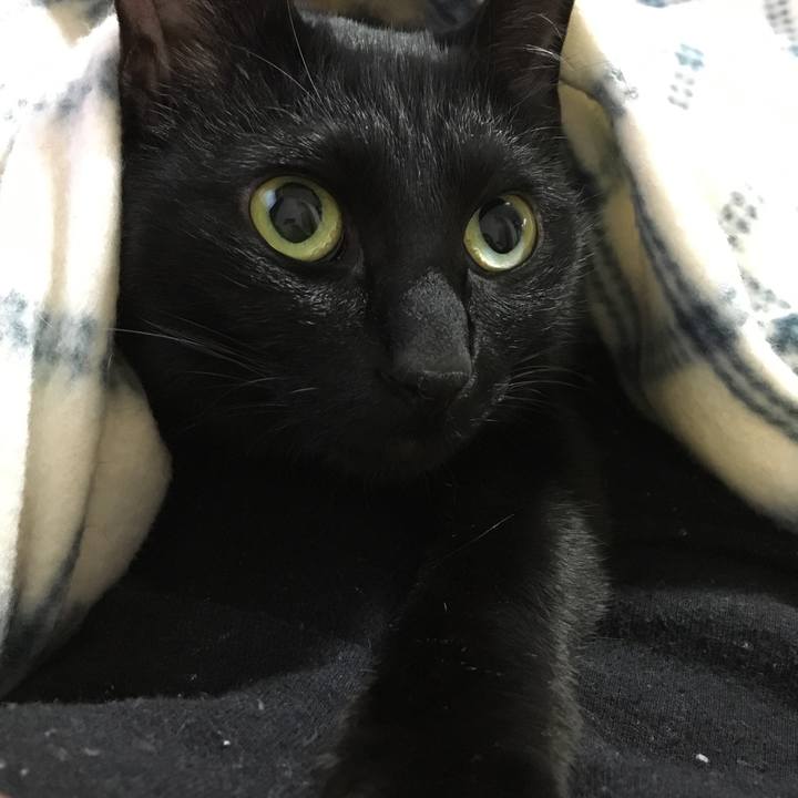 9d21e971 db34 4541 807f d5b3017515b7