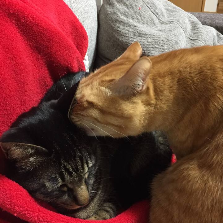 9d22323a 90a3 42eb b74f 794bccdd3fda