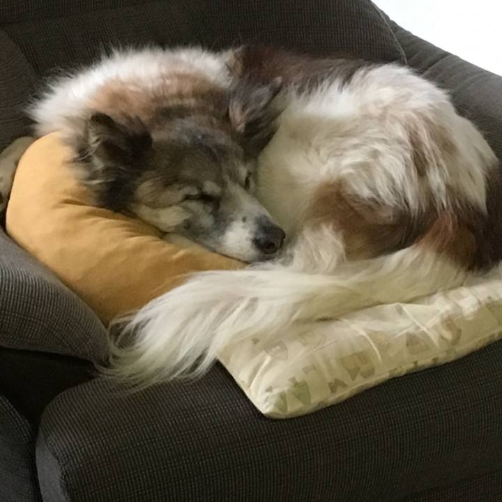 9d22812d f47e 486a b7bb ea57c1e2a999