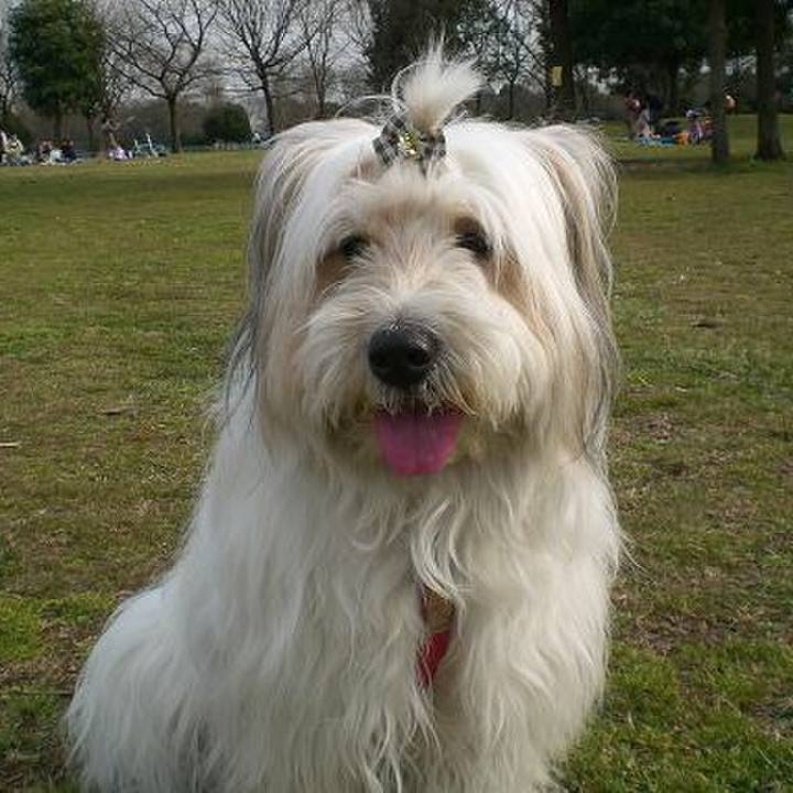 9d22b30e d61d 4f1a 8162 f6a996bade25