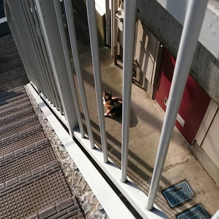 9d22b57d 99e2 4b85 914e 0b33194d86cf