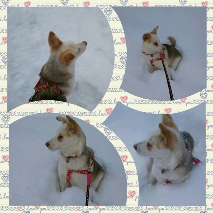 9d2324b7 bafc 493f a3ec dd62fd7990d1