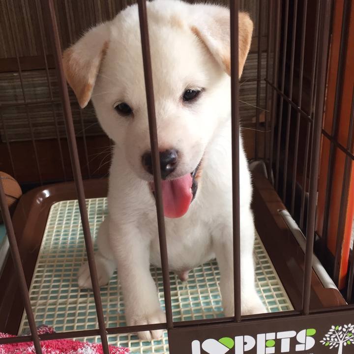 9d23527c c815 4101 b777 f2214c502e38