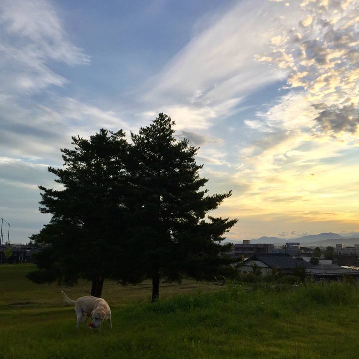 9d23a8be 4755 4e0b bc2a 259309fac911