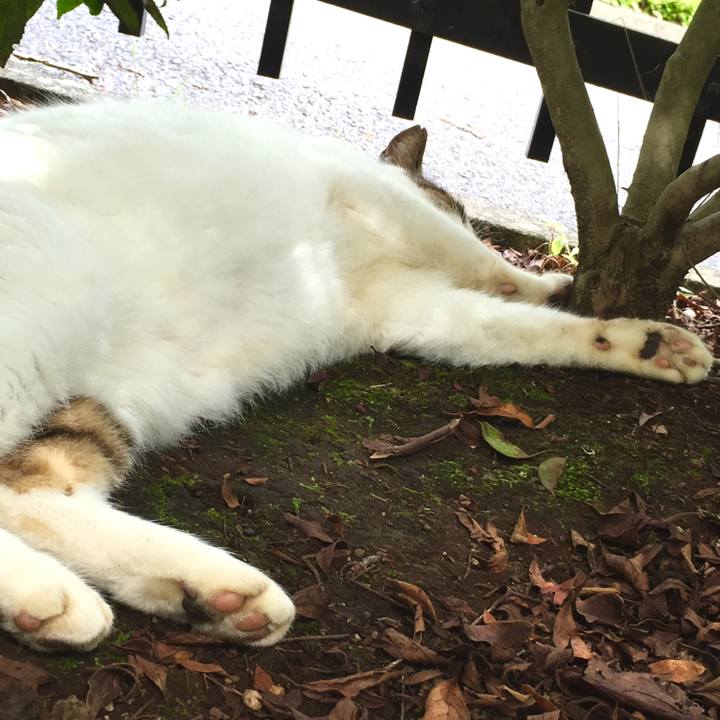 9d23f40a c419 4069 a8fa e4f7e82acabd