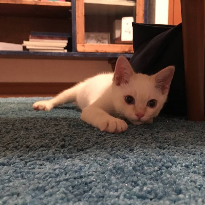 9d241f56 22cd 482c 8b70 818f57554951