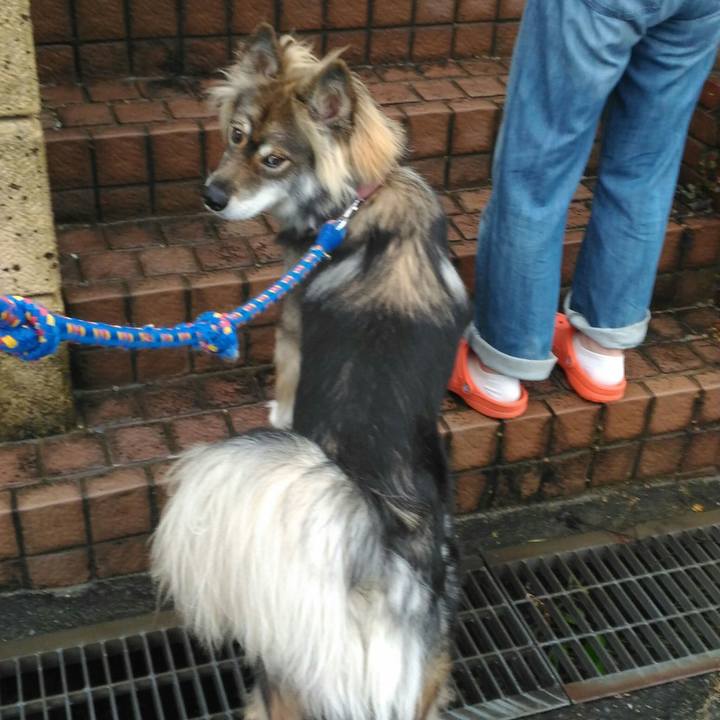 9d24576a b9cf 4a7c a1cf 83690331d7f7