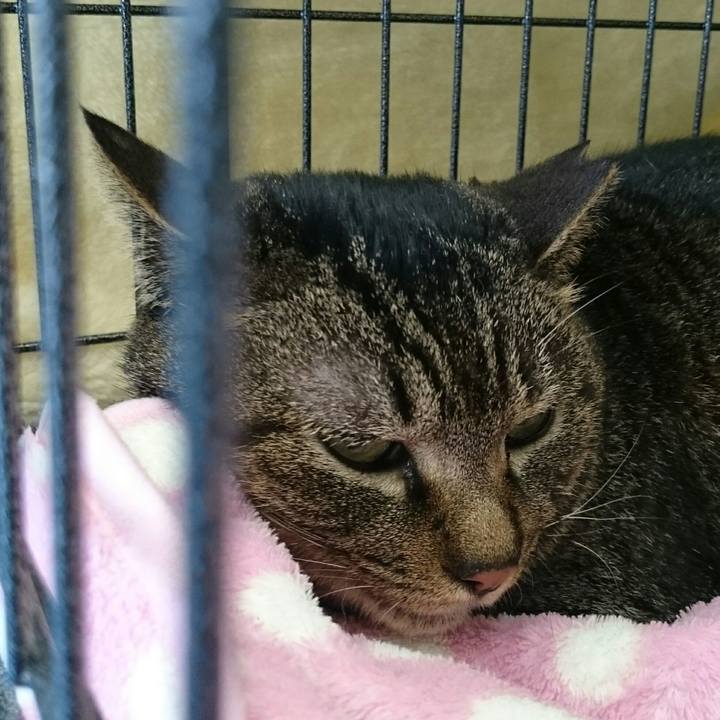 9d24a80a 785f 4ece 909a d603278bcbbf