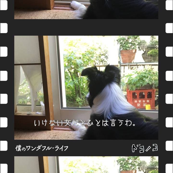 9d25387a 3f18 425d ab35 22dd22327bfc