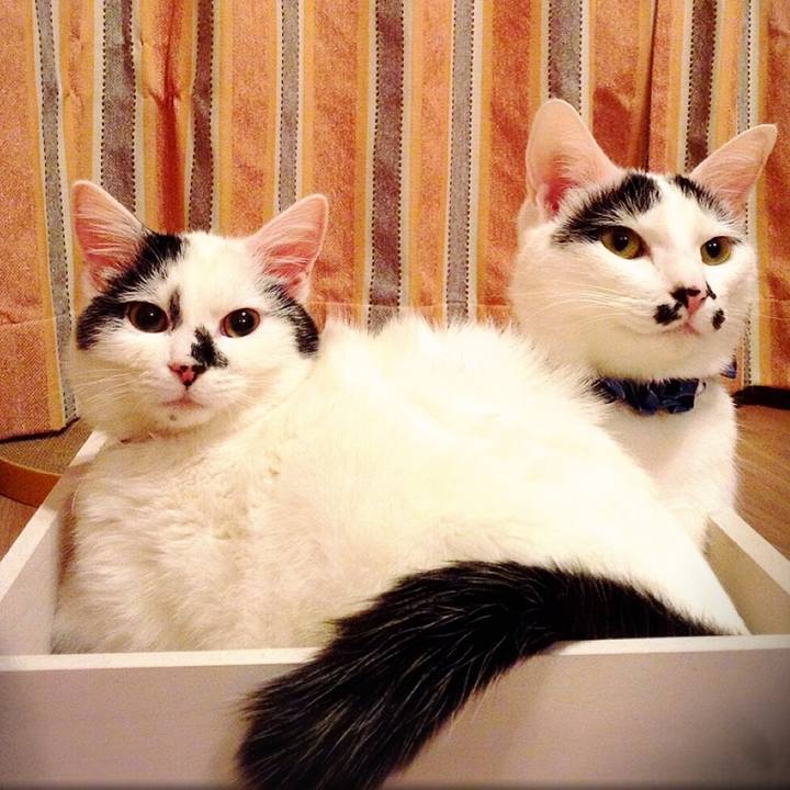 9d255685 558b 4f80 beb2 32cba3bfef8b