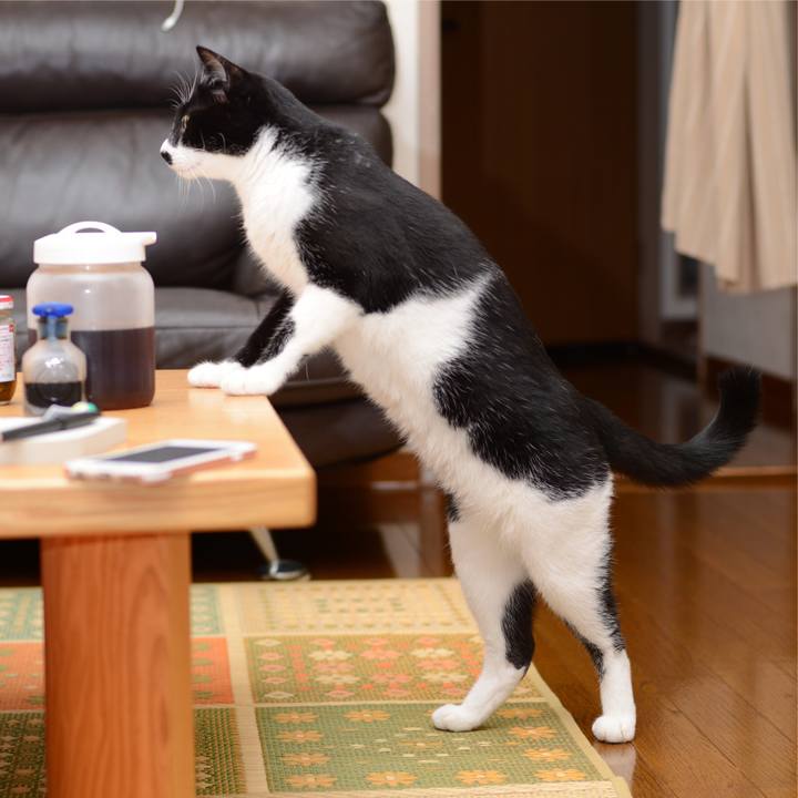 9d26145b 7437 47b6 8021 0bd78def0201