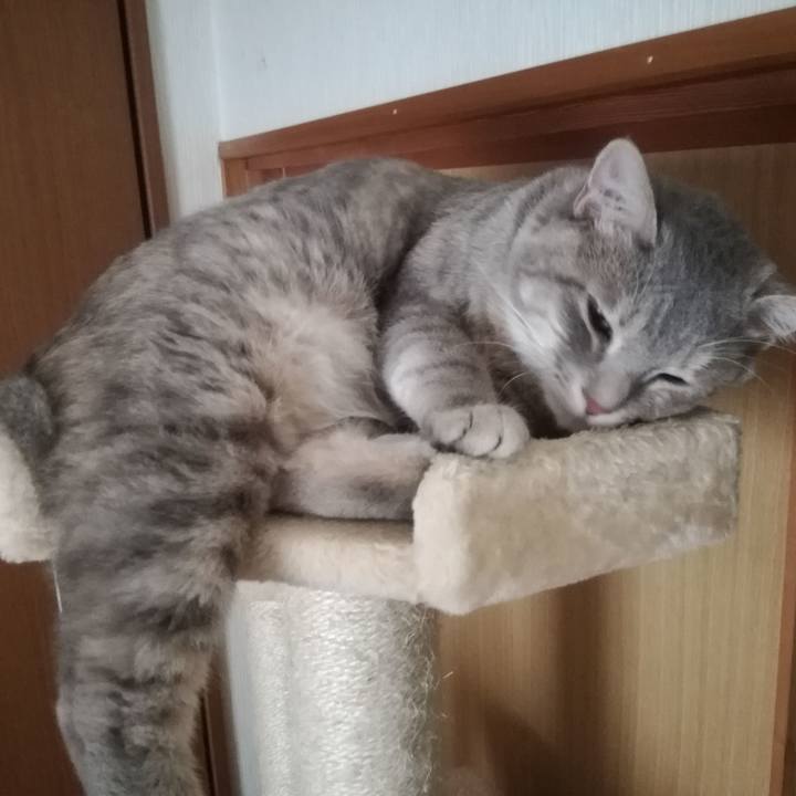 9d2648f3 7f26 467c 8e9e c839afed8650