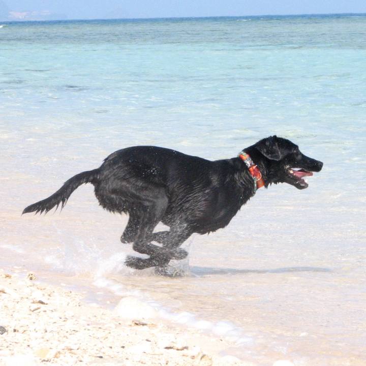 9d26a626 7377 419d a73e 43ad2cdf54f4