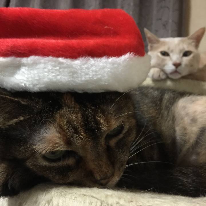 9d26bdf9 448c 4f75 8914 c58b10f64bf1