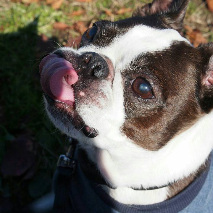 9d26c931 402d 4f5a be39 90ab4084f549