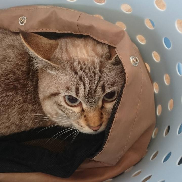 9d26e38c 8f9d 49a3 80b7 5798e4a305c1