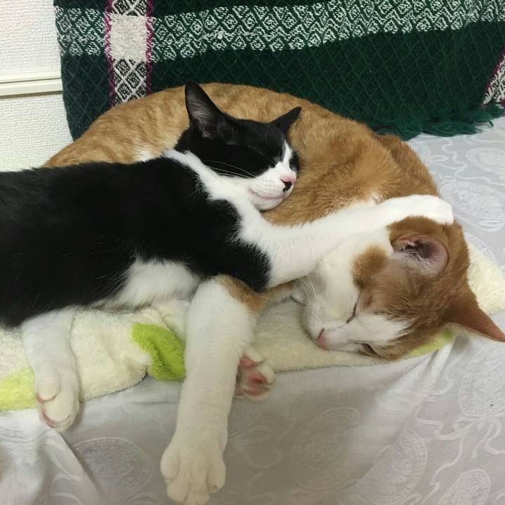 9d272ebb 3f43 4f22 99bc 25a596ab18f5