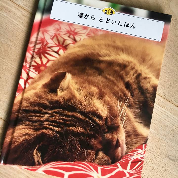 9d2756bc f7fa 4abe ae06 ed5f528821f6