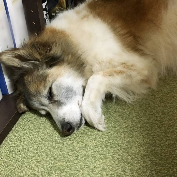 9d27ab5d f55e 4218 a4da 4824afb5610a