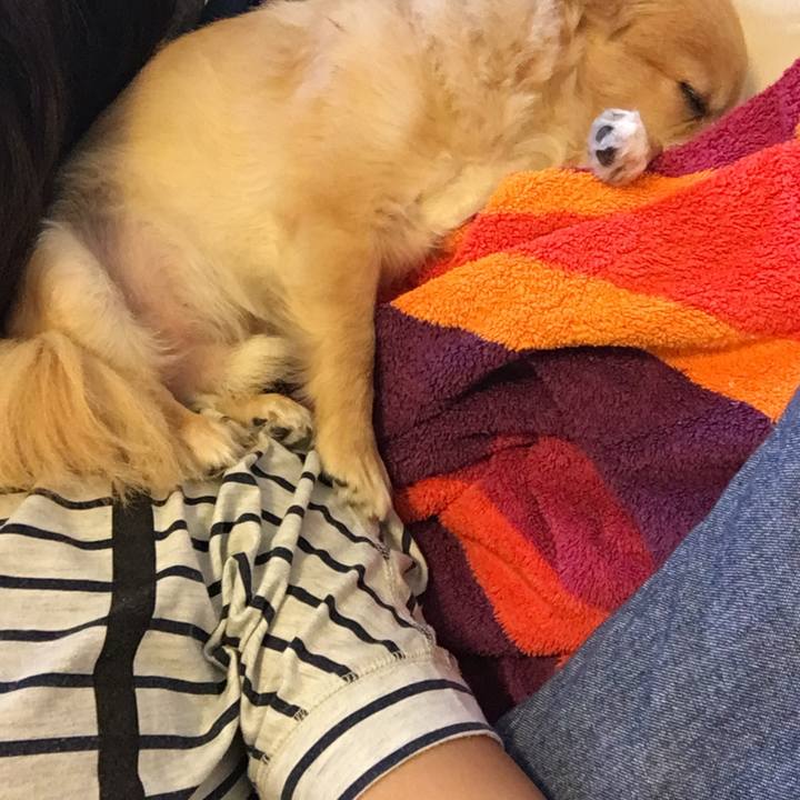 9d2889a8 cd56 4f67 985a e0b757259a36