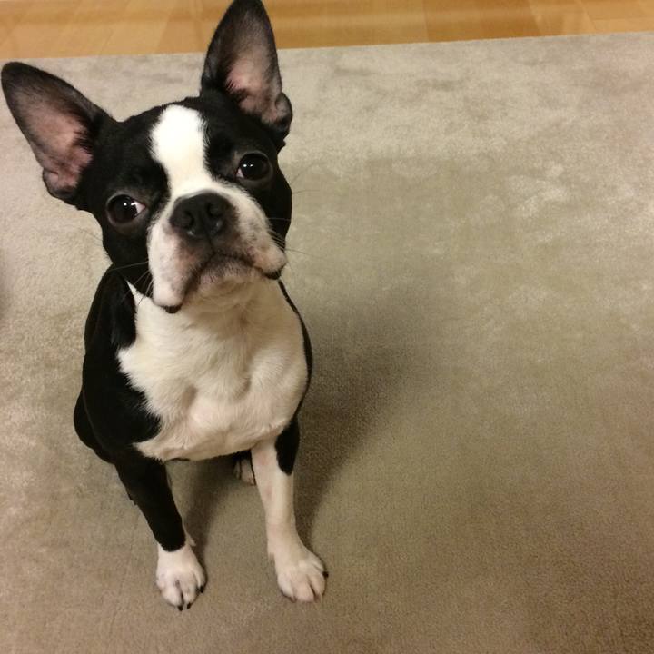 9d289630 65af 46bb a76a b94dd1c7674d