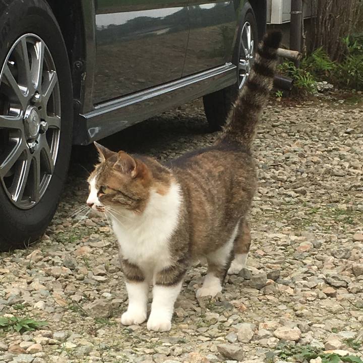 9d28af32 2356 48d7 884f b81ad97ee144