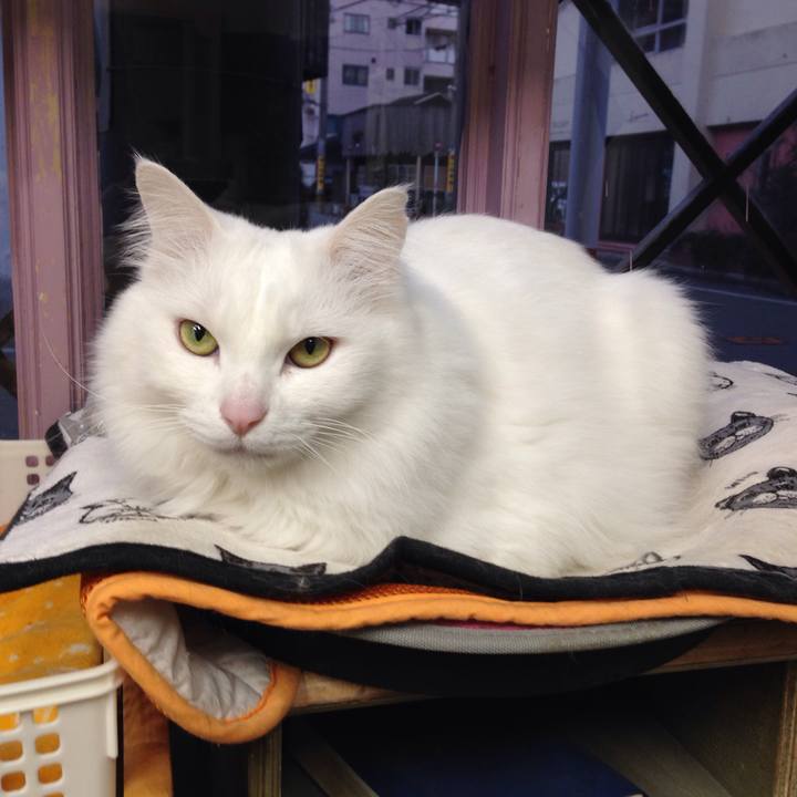 9d293e8d e1c6 4b21 9ce5 d4cdfd526437