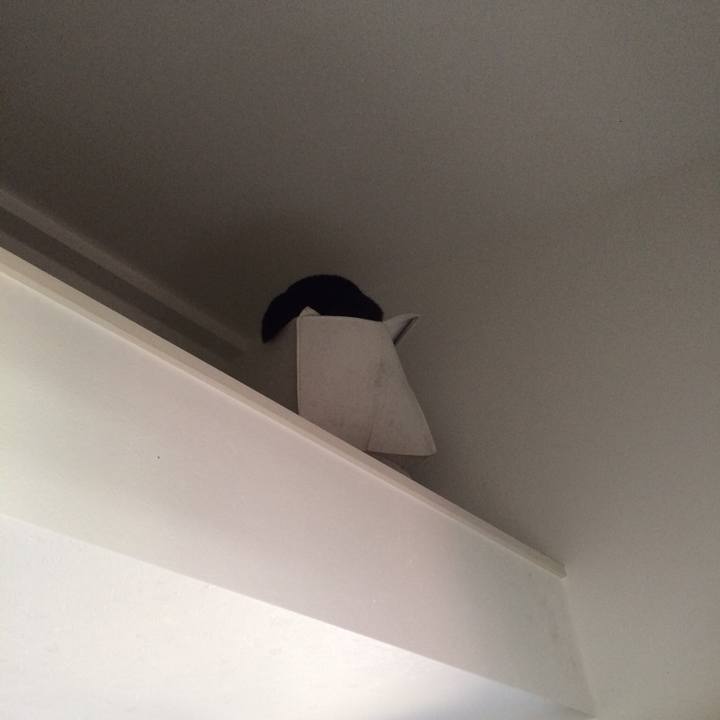 9d2a413c cd50 49ea 88c3 9fbb9939b894