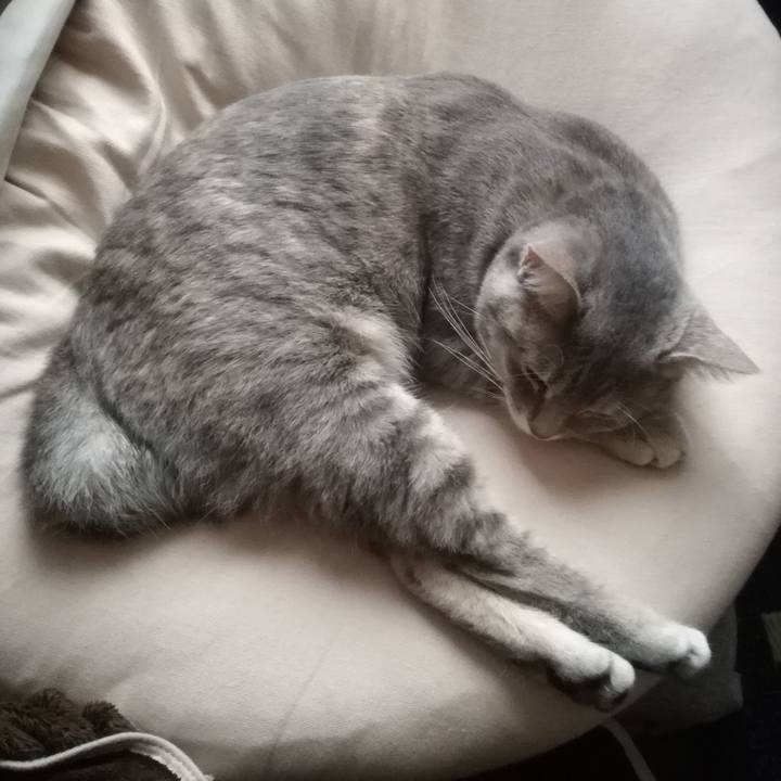 9d2a963d 77ff 4ce2 85bd 12c3dd65e78c