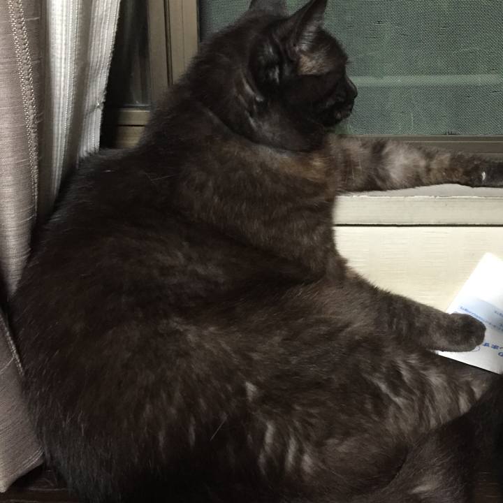 9d2aa008 2774 44f9 8866 618384b6d3d3