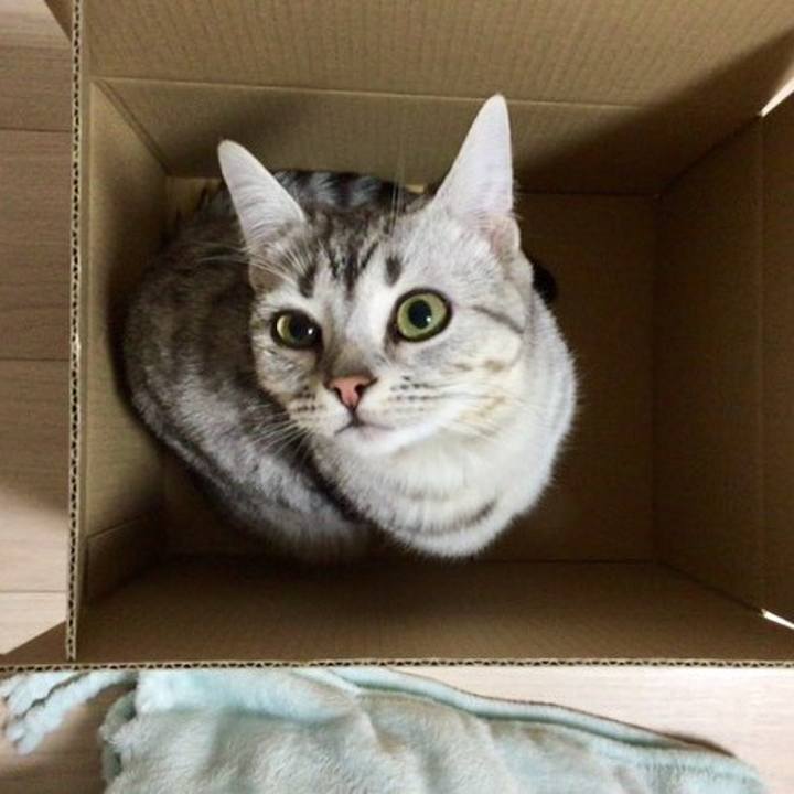 9d2ad8e1 35b6 4b3f 926a d931ac0ca0e7