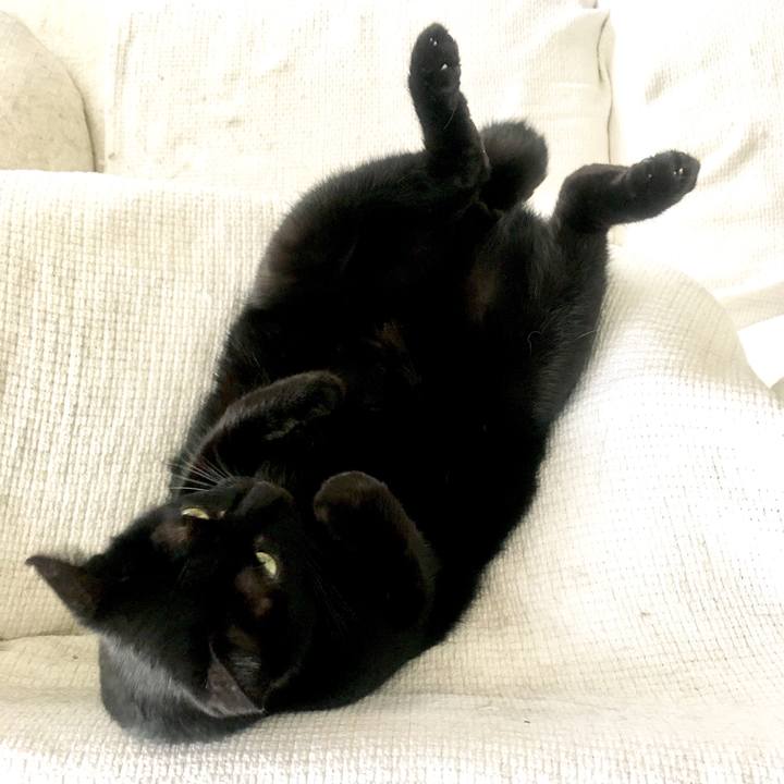 9d2b004d 87f7 4608 9459 3b0f686d0141