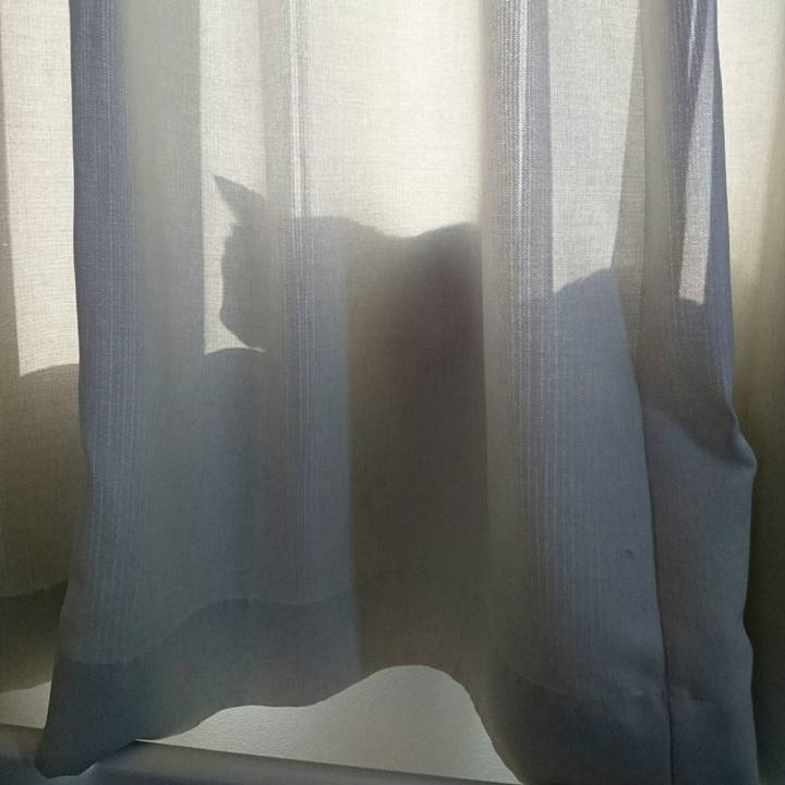 9d2b030f c6c0 48bb 9c4b 1a0d6cdd0e52