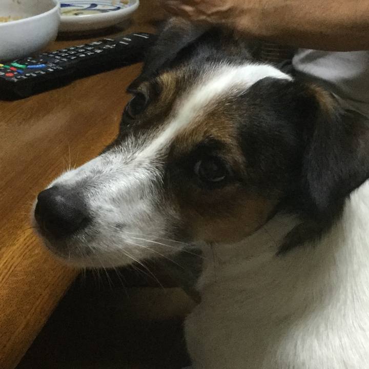 9d2b12d4 2a82 4b46 806e d56ec27f465d